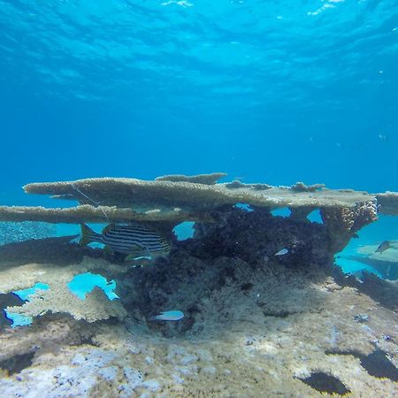 Ukulhas Beach Inn Екстериор снимка